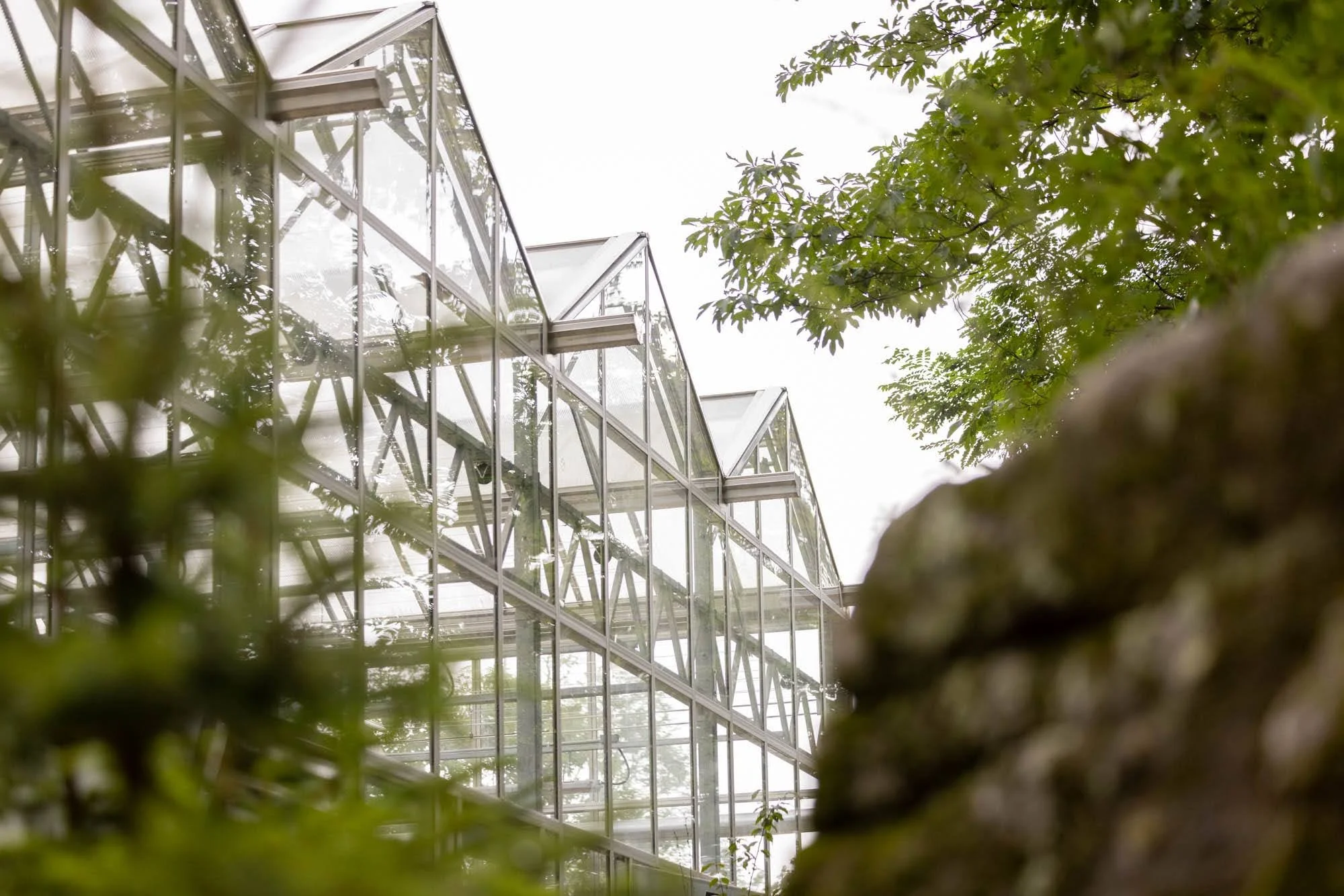 A view of a modern glass building with metal framework, surrounded by green foliage, seen from below.