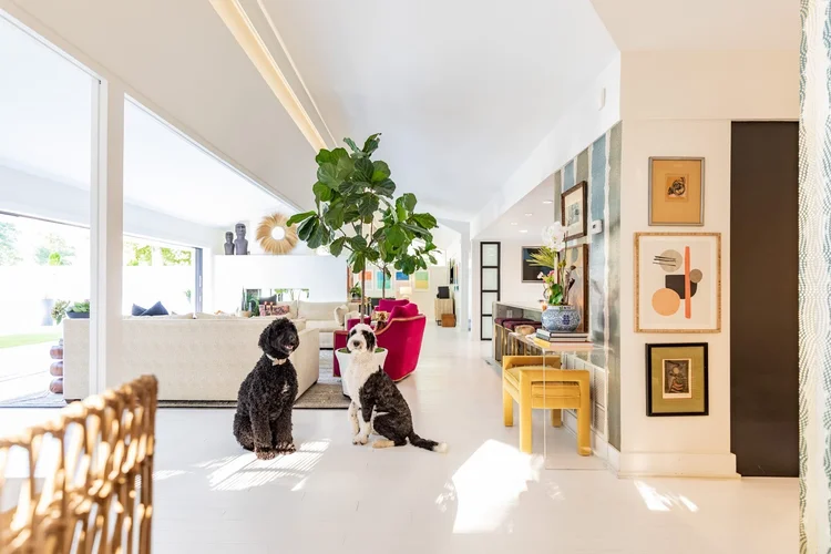 Interior of a mid-century modern custom home in Greenville, SC, interiors by Diggs Design.