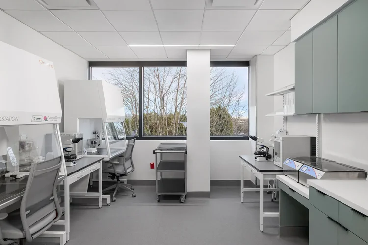 Interior of CCRM Fertility, a Perkins&Will-designed healthcare facility in Greenville, SC — healthcare architecture photography by Jack Robert.
