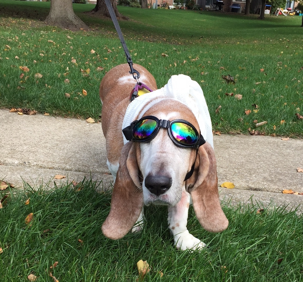 Ready for the road! 