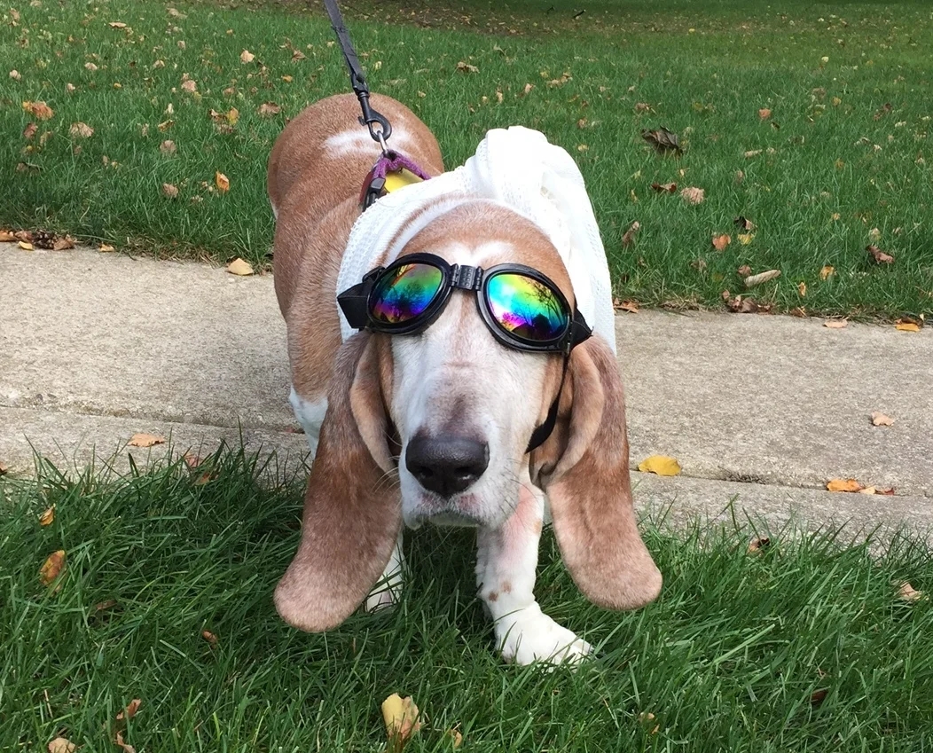 Mavis is ready for the road