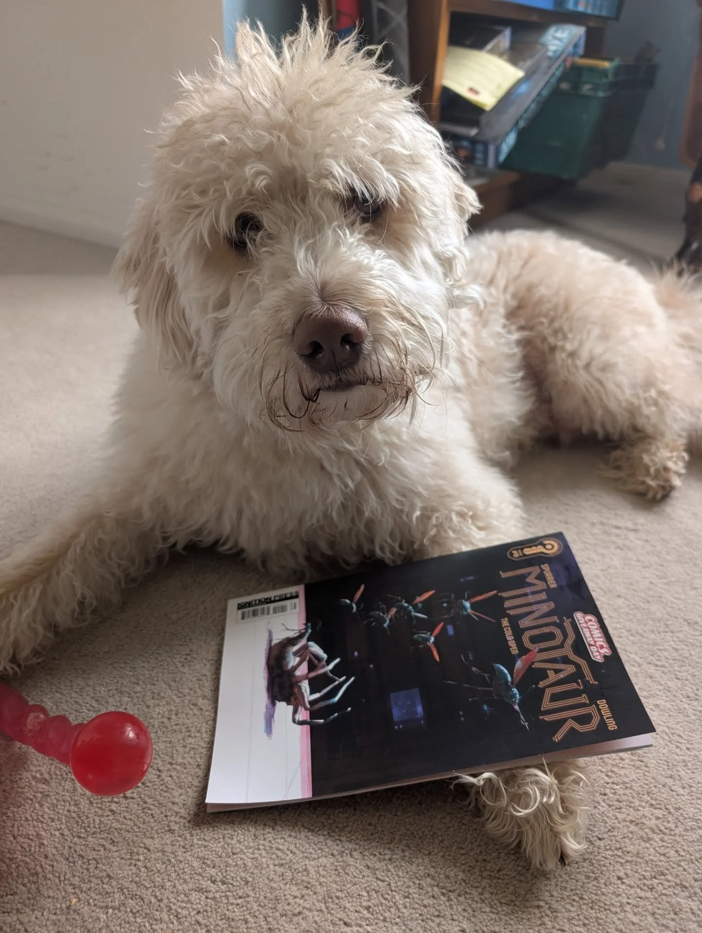 Happy Comics Giveaway Day/Free Comic Book Day/Comic Freebie Frenzypalooza Day ⚡ 
Get yourself to your local friendly comic book shop and hand over none of your hard earned pounds for a free glossy* comic good time.
By @sispurrier @mikedowling2020 mys