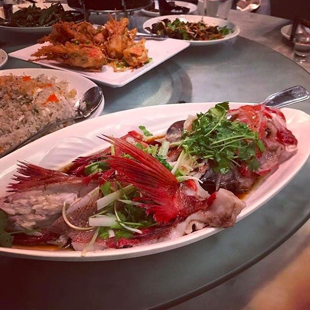 Feel like seafood? We have an incredible selection of fresh seafood that is sure to impress!
.
📷: @sophie1024
.
.
.
#friday #weekend #friyay #seafood #wholefish #freshseafood #dolorestaurant #dolochicago #chinatownchicago #dimsum #chinesefood #canto