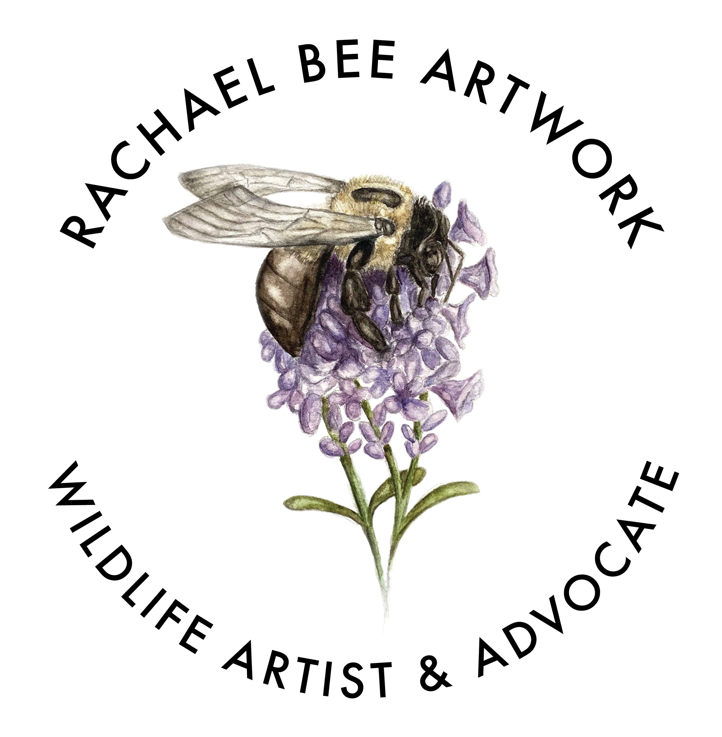 Rachael Bee Art Work