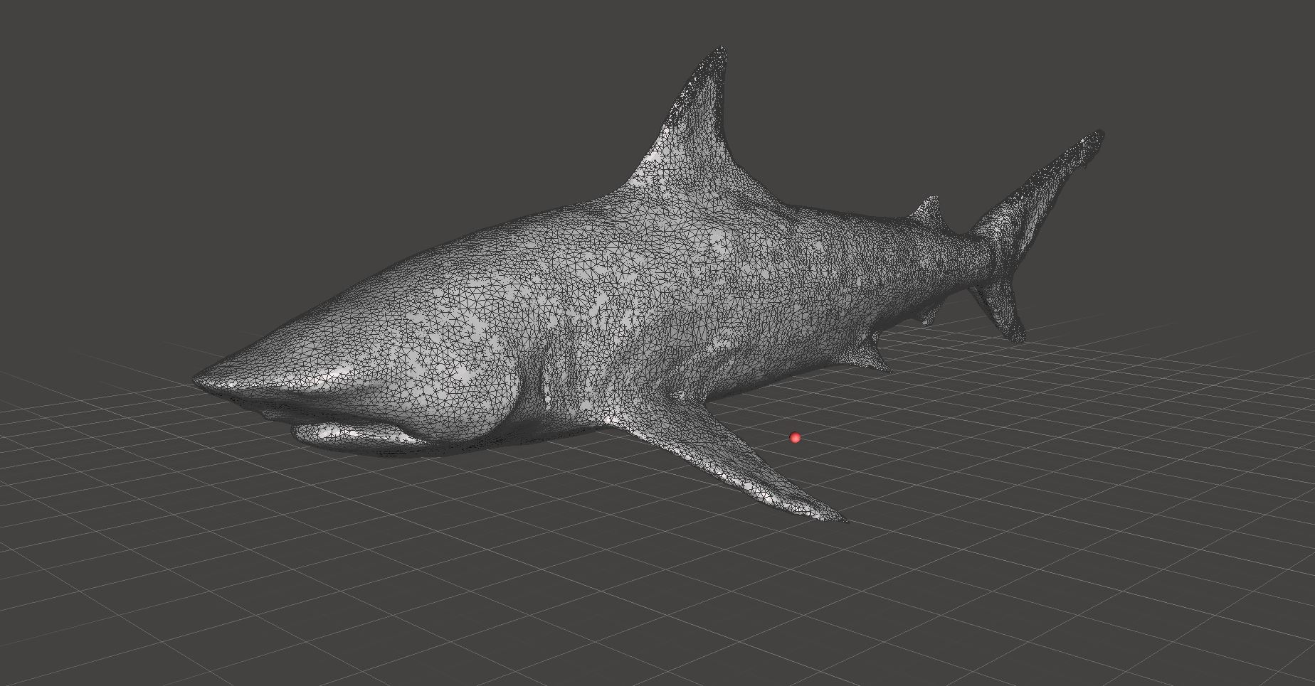 3D mesh of a Blacktip Shark