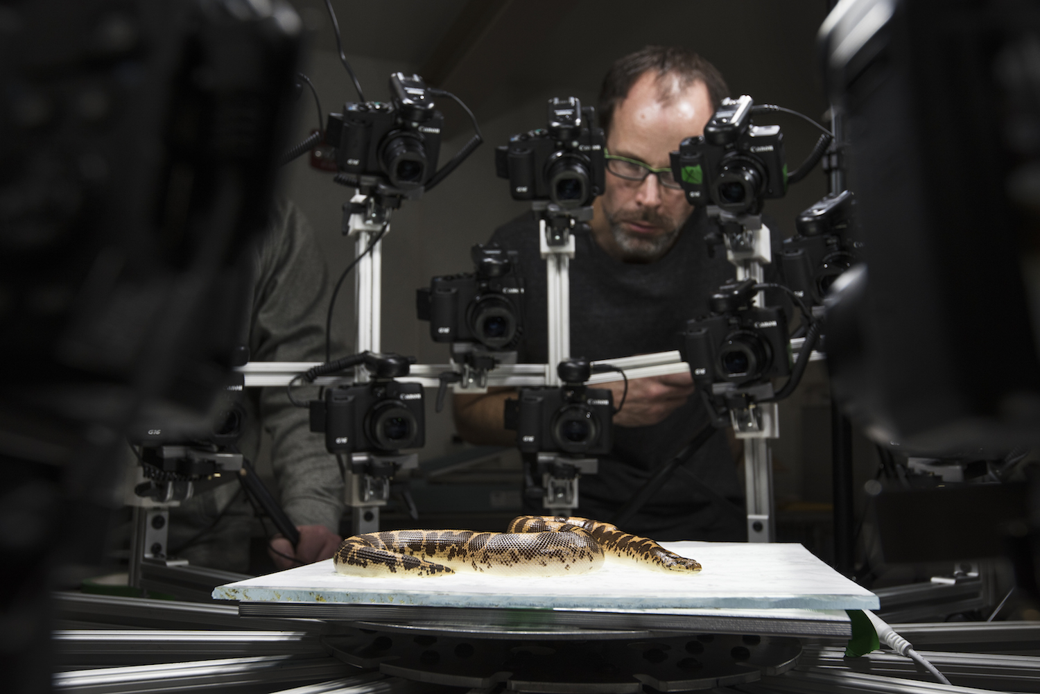 Beastcam Technology Camera Array and a Snake