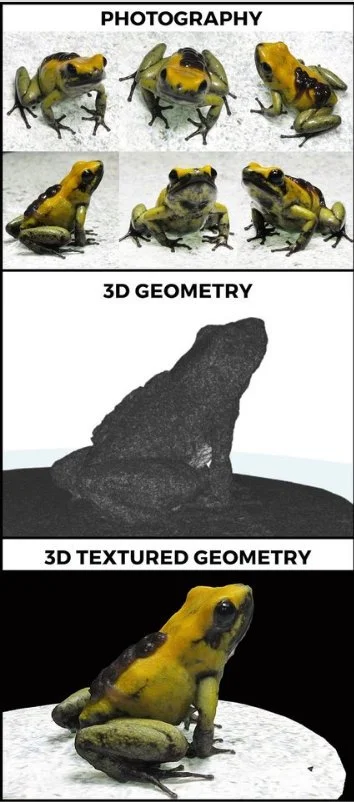 photogrammetry+image.jpg