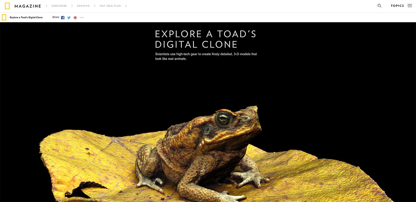 Toad digital clone.jpg