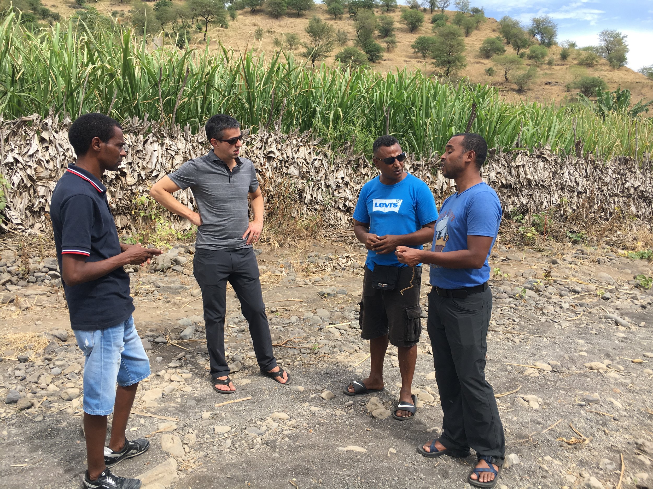 Gil Querido (far right), our partner in all things Cape Verde, speaks with Bill and two of our partner farmers, Ta and Lino, about the scale and size of our passion fruit plantation. 