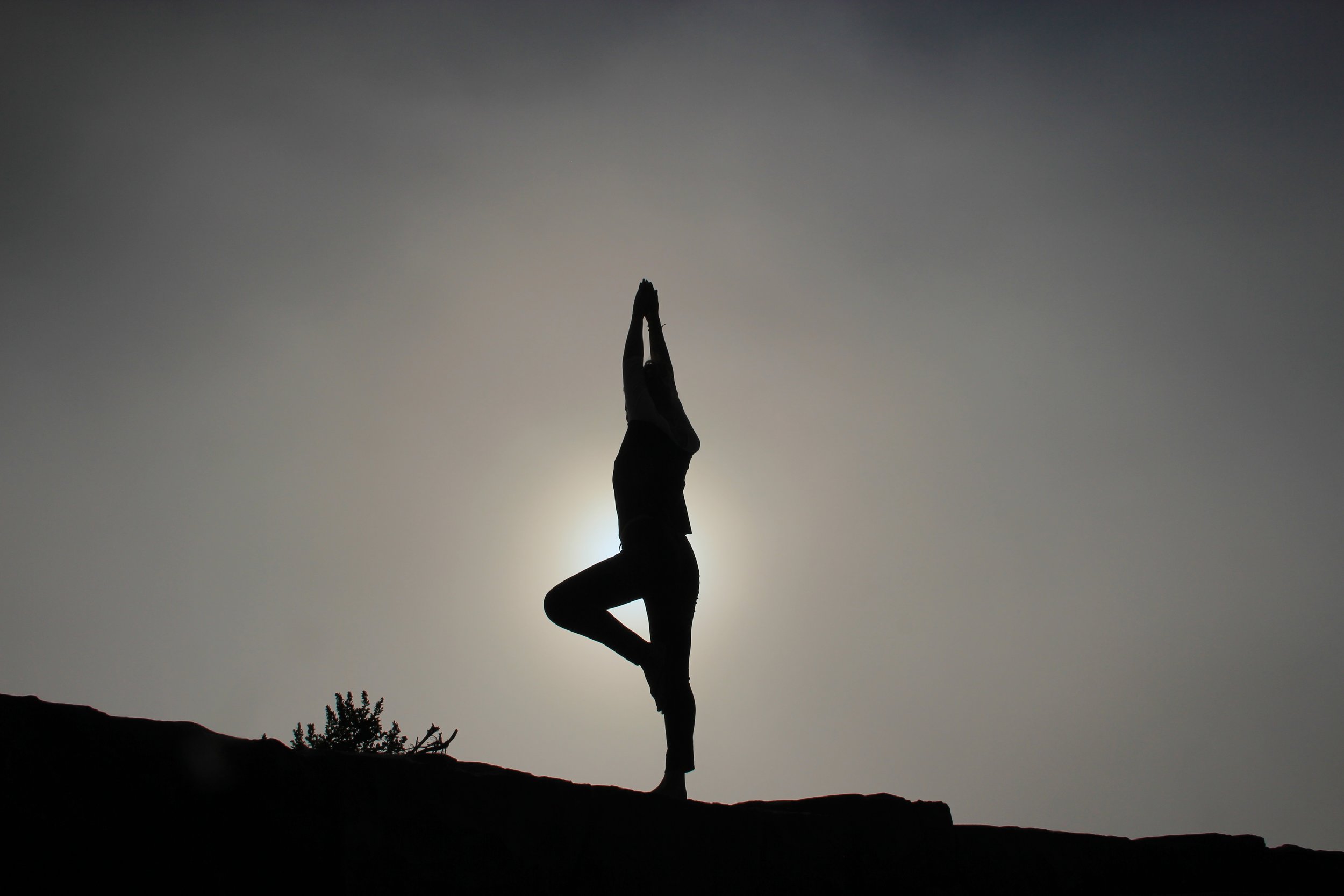 12 Simple Yoga Asanas To Reduce Belly Fat - GeeksforGeeks