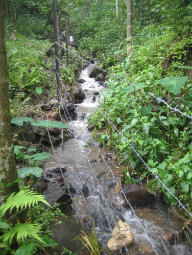 This stream originates in a small patch of forest and supplies water to roughly 20 acres of paddy