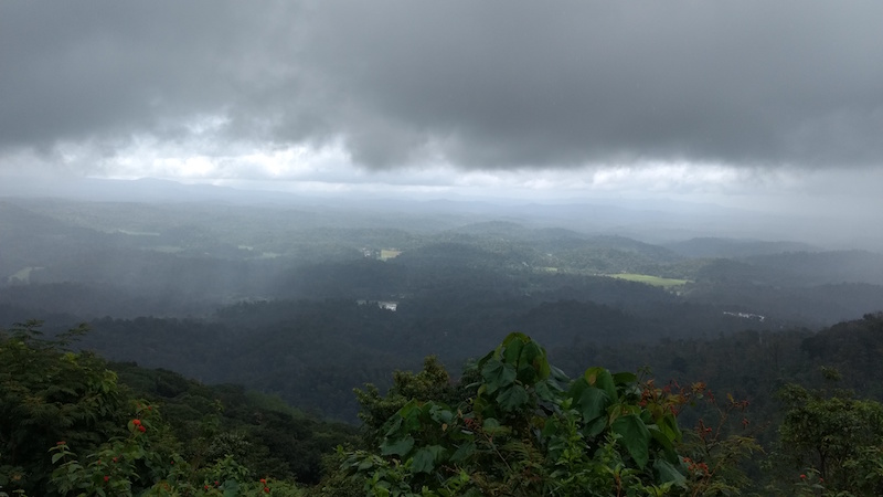  The view of Sholas from Thamaya and Janaki's home