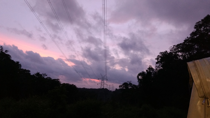  Numerous trees in the Dubare Forest were felled to make way for these high-tension power lines.
