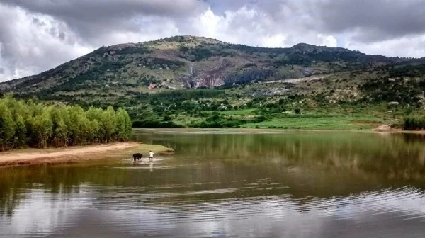  Image by author