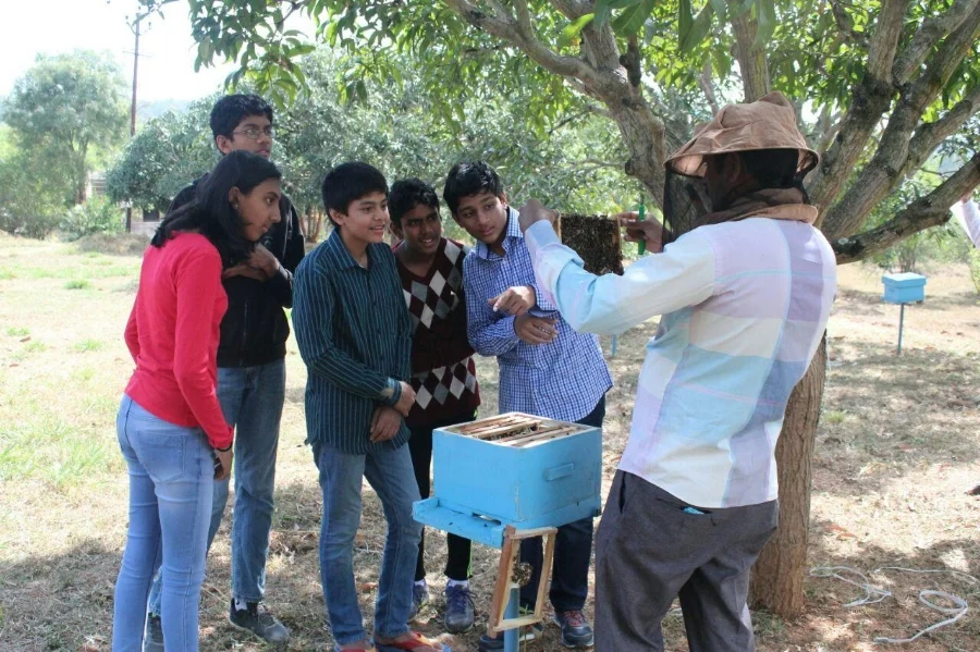 Flaming Phoenix learning about ethical bee-keeping - a process by which honey is extracted without harming the bees.