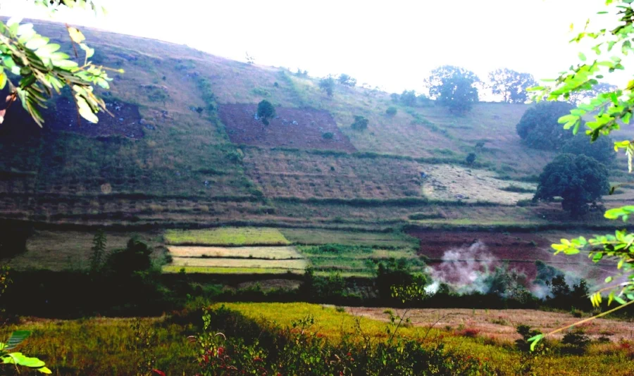 Shifting cultivation/ Pic: Parul Thapa