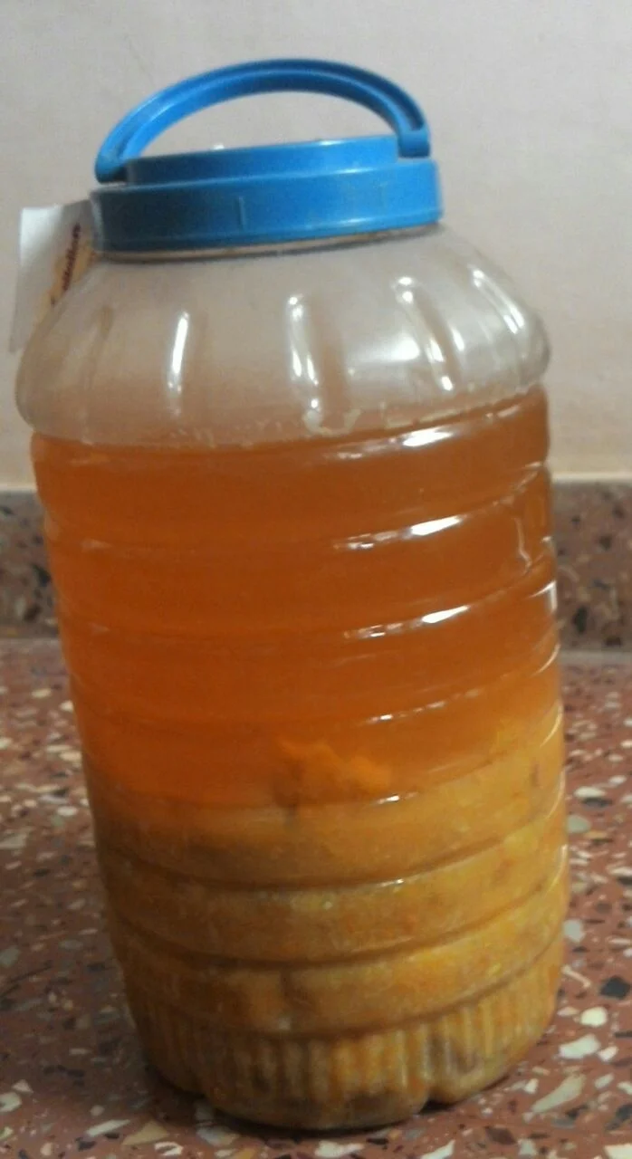 Bioenzyme ready after 3 months. Notice the 3 layers here - clear liquid, mushy solution and the pulp.