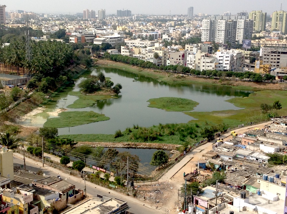 Puttenahalli Lake after rejuvenation on February 2017