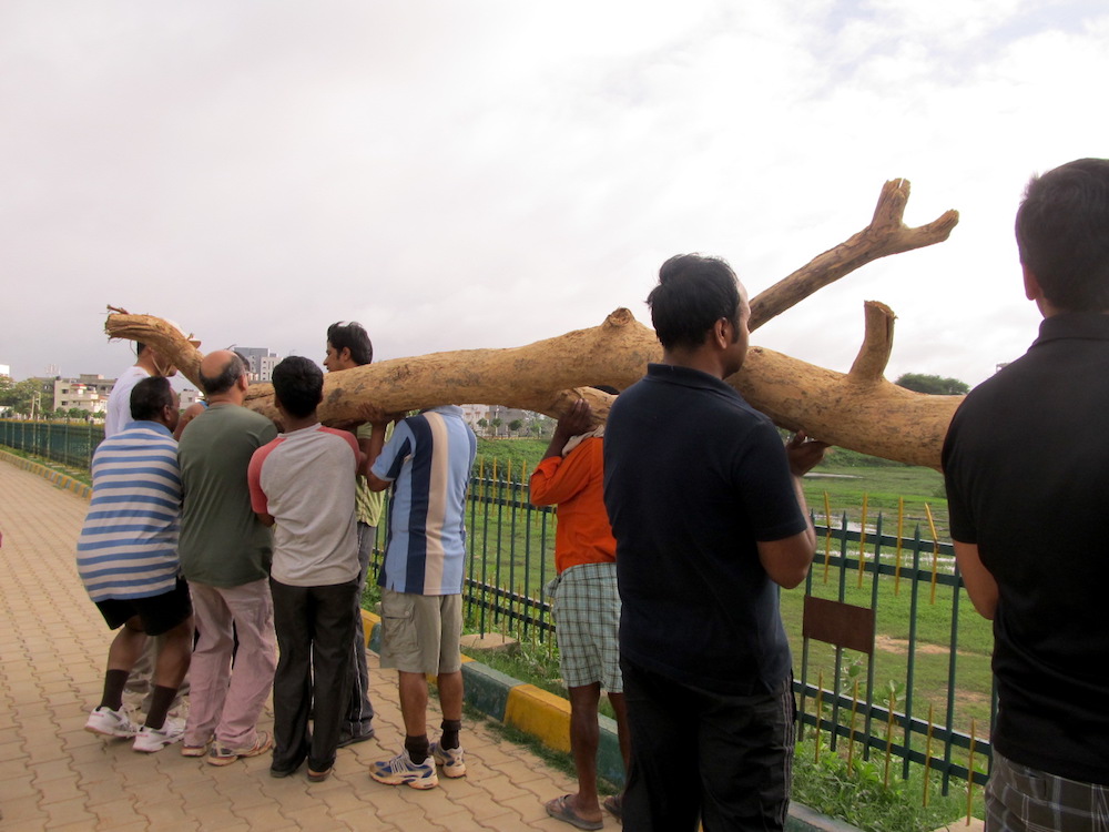 Citizens planting a stake to attract birds to the lake