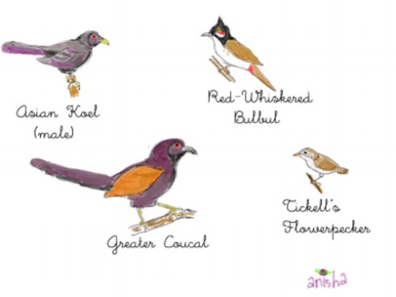 Some of the visitors to the Champaka Tree