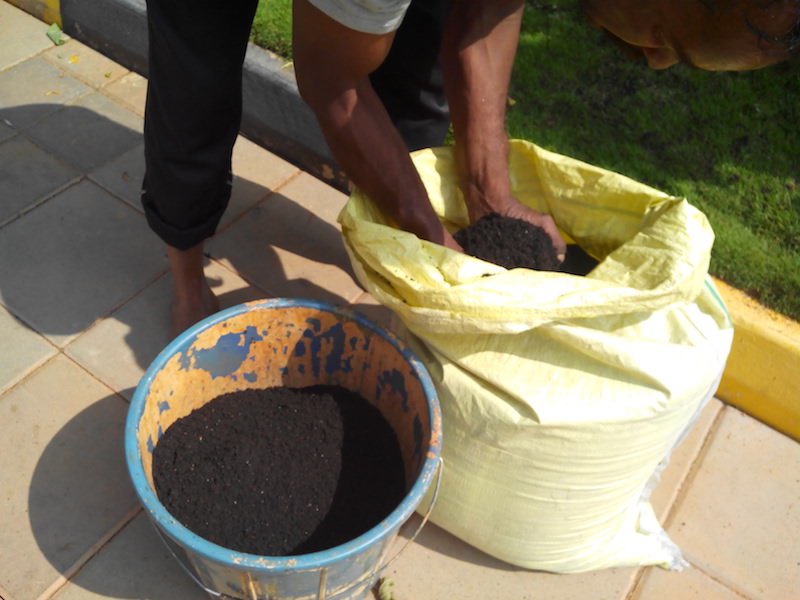 With a little effort, you can turn wet waste into loads of organic manure. Image: Author