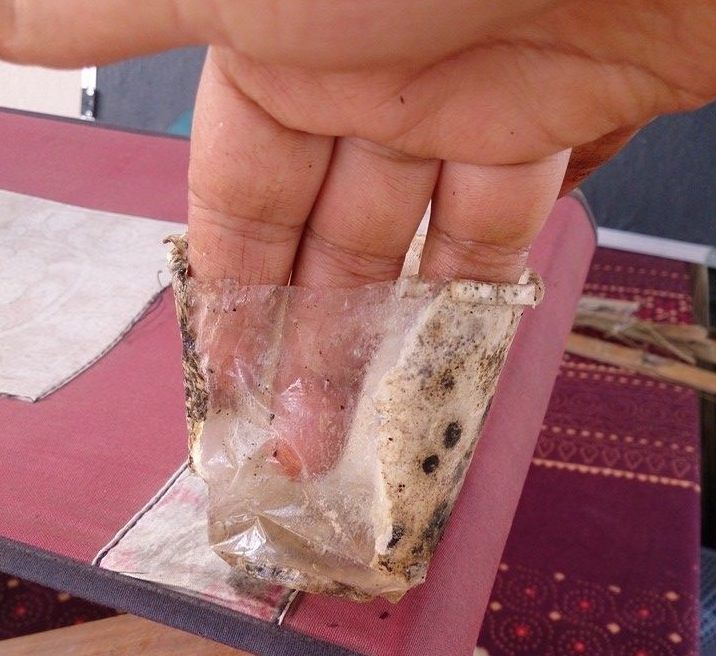 Try composting a 'paper' cup. You will find it contains a non-biodegradable plastic lining sandwiched between the paper layers. While the paper decomposes, the plastic lives on. Image courtesy Facebook/Vani Murthy