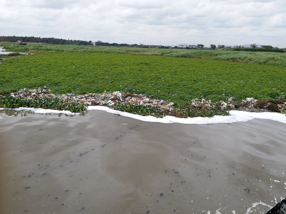 The city's garbage rises to the surface