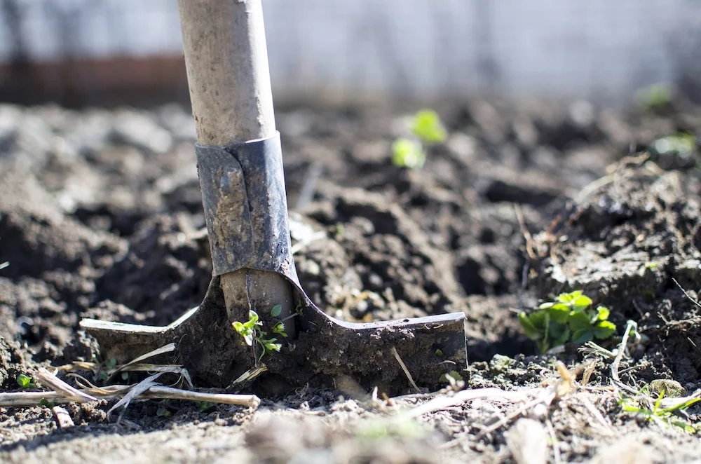 We need to return the nutrients from food as close to the source of our food as possible