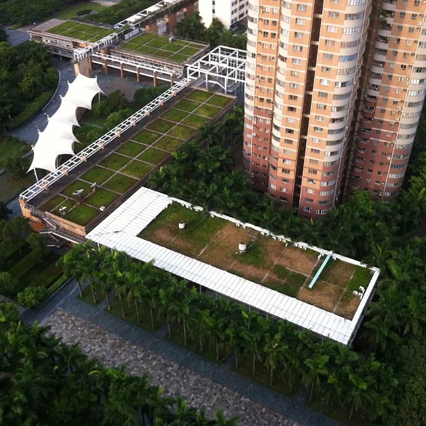 Green roofs in Shenzhen. Boyd Jones/Flickr CC BY-NC-ND 2.0