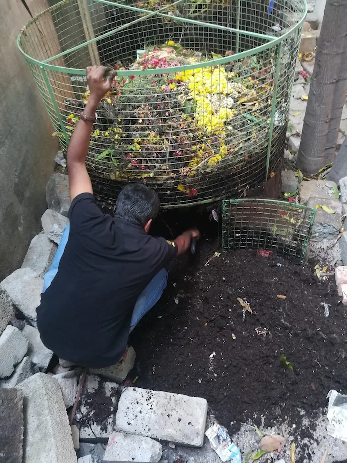 Harvesting leaf compost from a composter installed on temple premises. Image: Courtesy Vasuki Iyengar