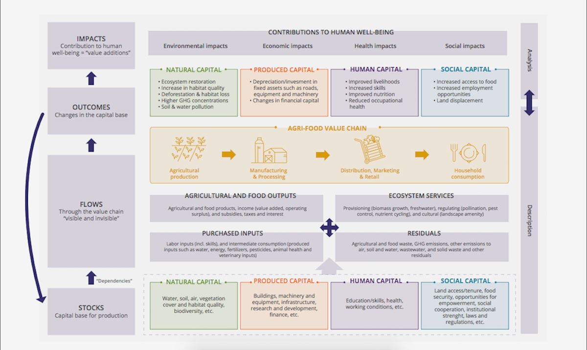 Impacts of eco-agri-food system activities. Image: TEEB For Agriculture & Food: Scientific and Economic Foundations Report