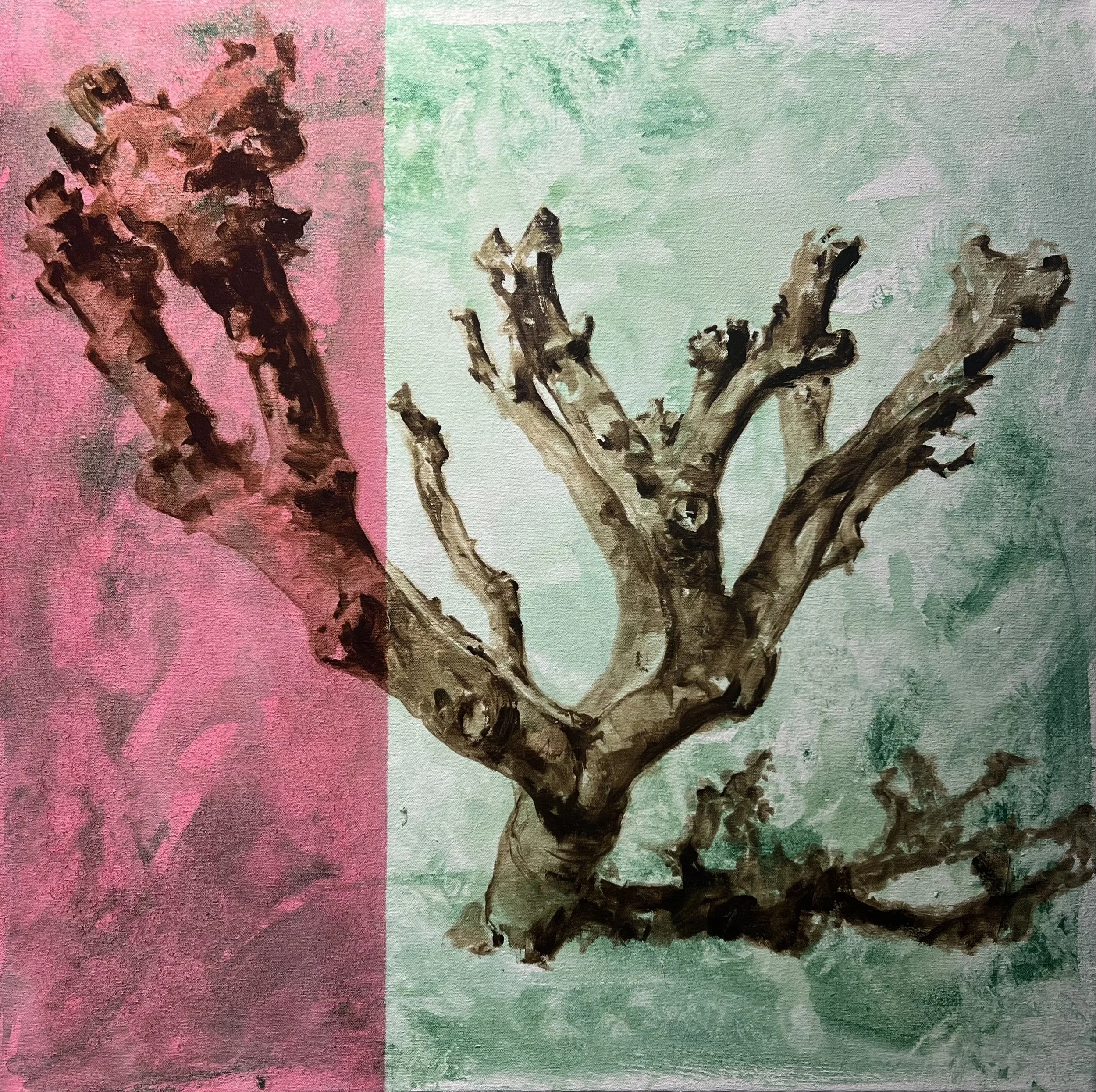 Pollard
Oil on Canvas
36in x 36in
