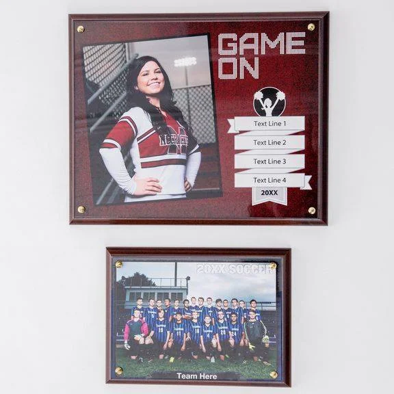 Plaques