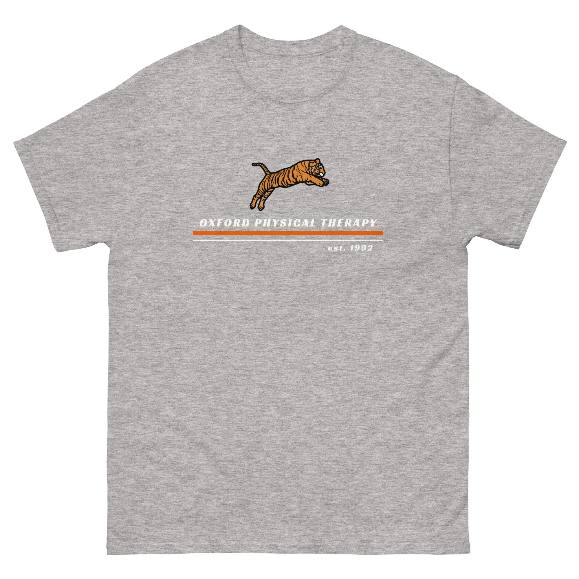 unisex-classic-tee-sport-grey-front-68baf130afe60.jpg