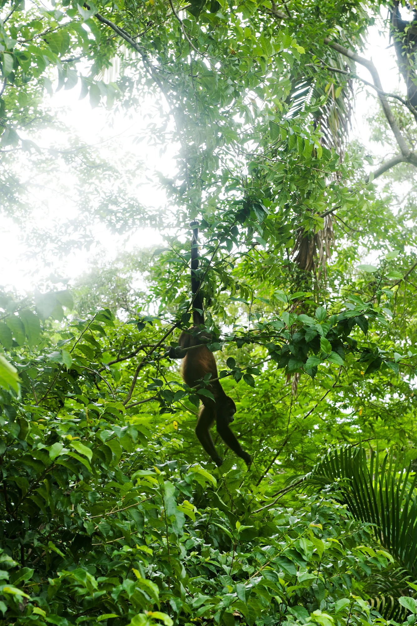 Costa_Rica_Catherine_Mombourquette38.jpg