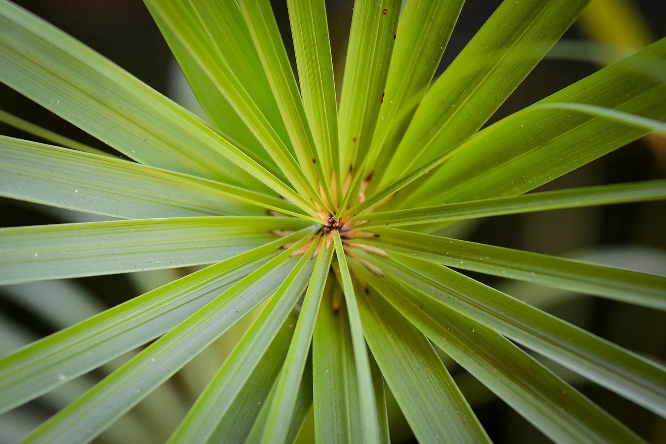 Britton & John - Teasers-001.jpg