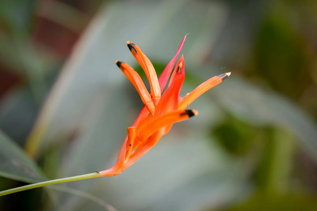 Britton & John - Teasers-002.jpg