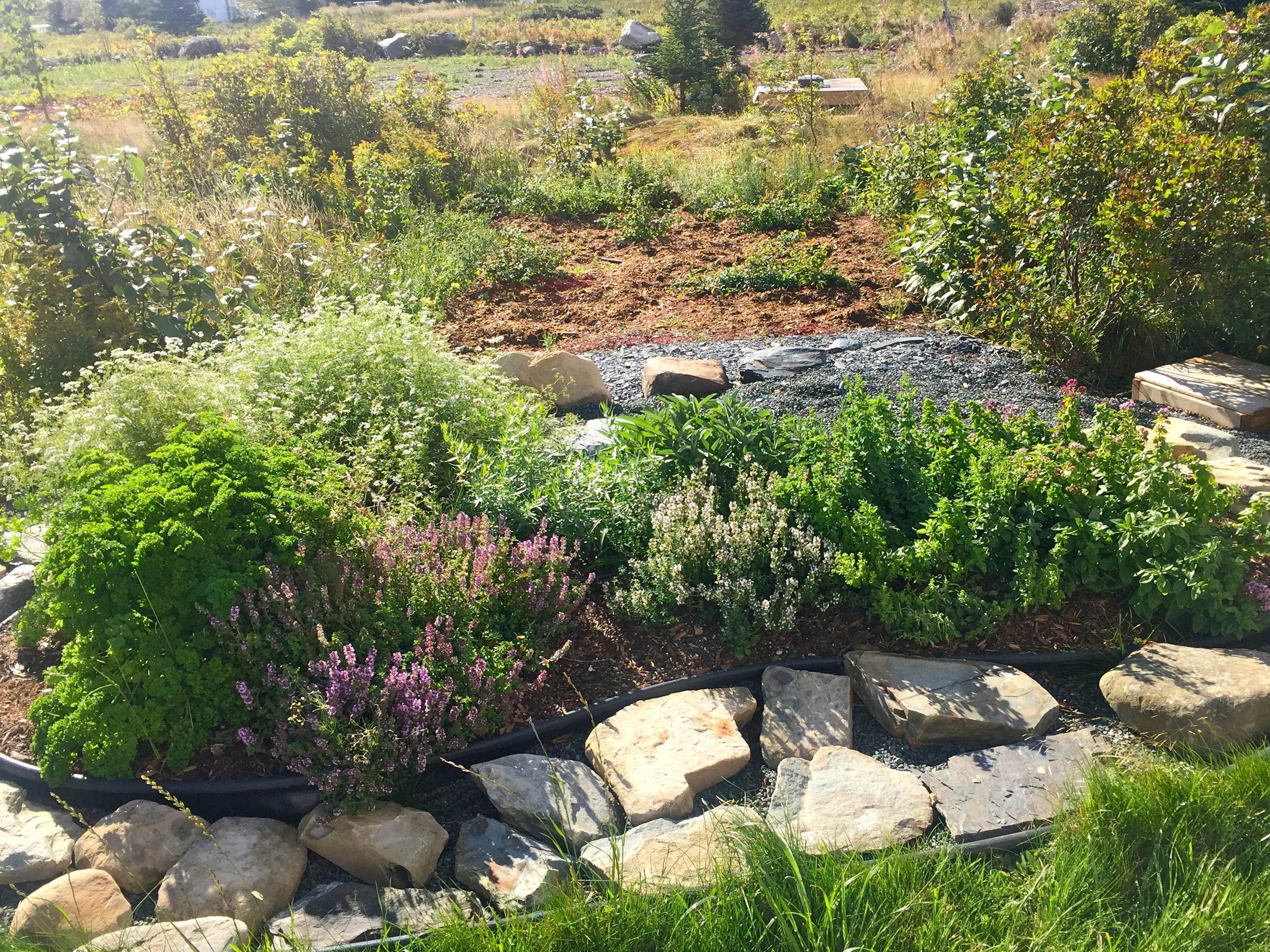  Herb Garden 