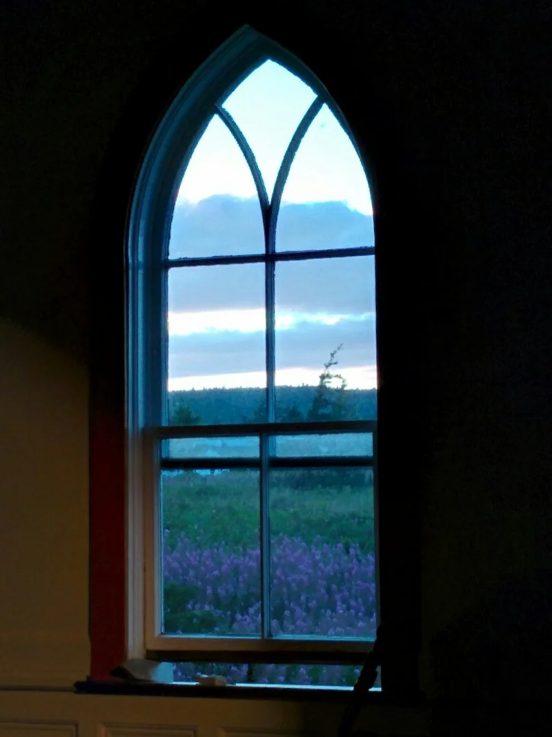 Fireweed through the window