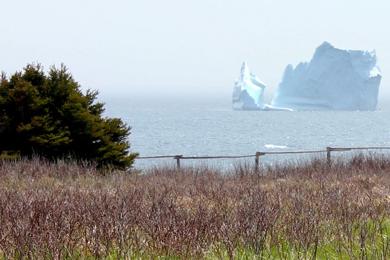 Iceberg in June.jpg