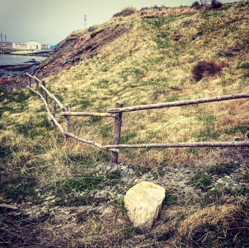 Fence.jpg