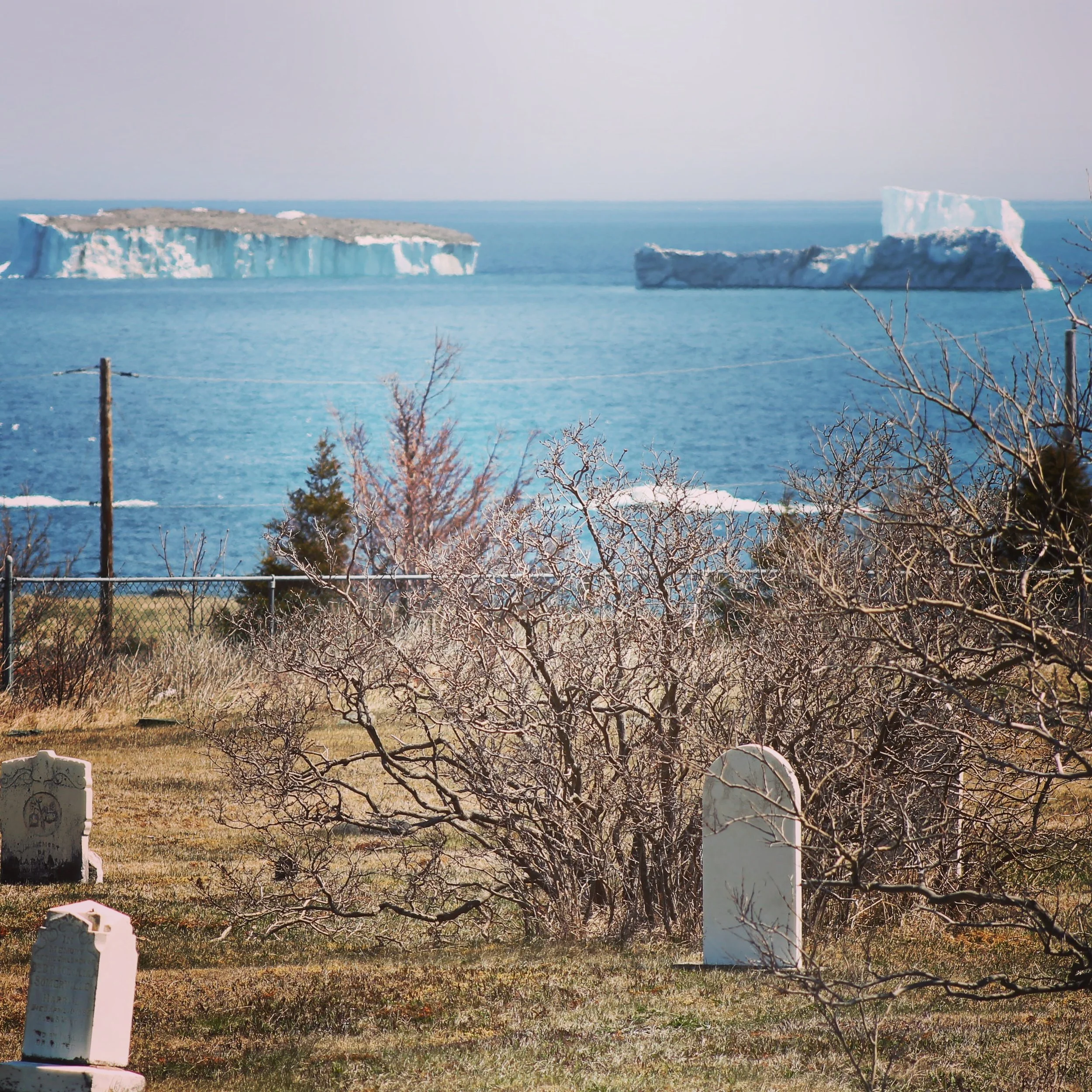 Icebbergs