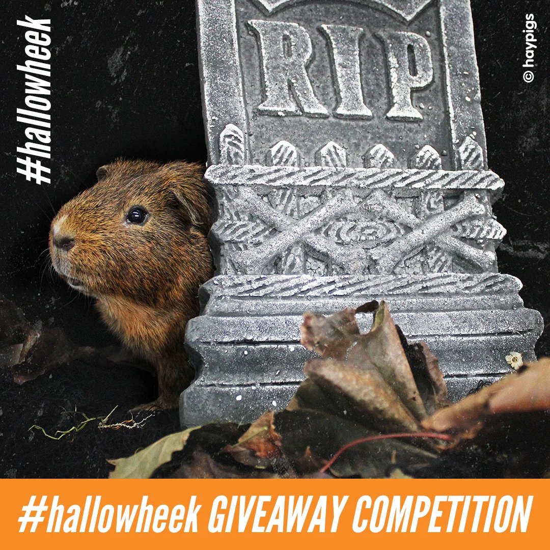 Look out for a competition post like this one (above) on our Facebook page.