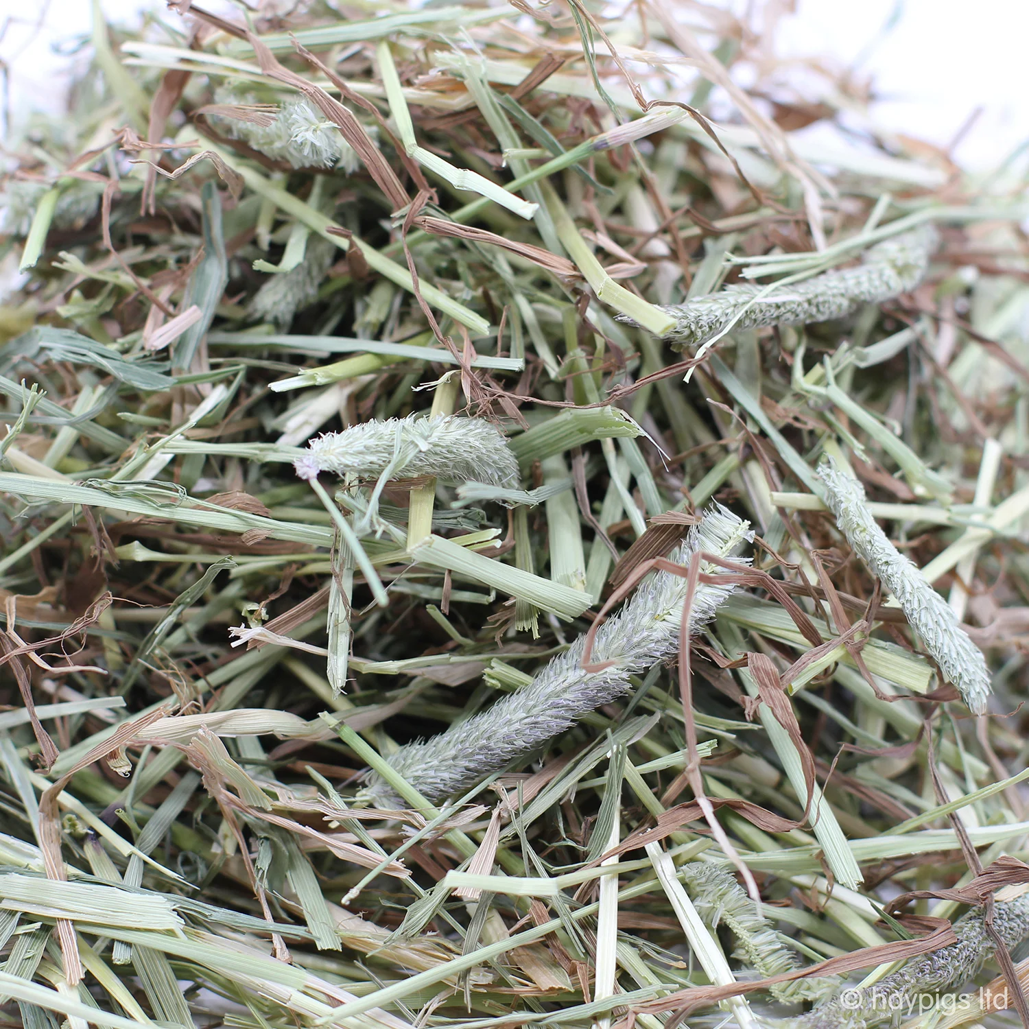 HayPigs!® Guinea Pig Circus — Burgess Excel Long Stem Feeding Hay 1kg