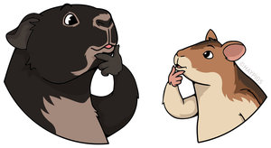 Hamster ve pig Telif Hakkı © 2019 HayPigs Limited. Tüm hakları Saklıdır.
