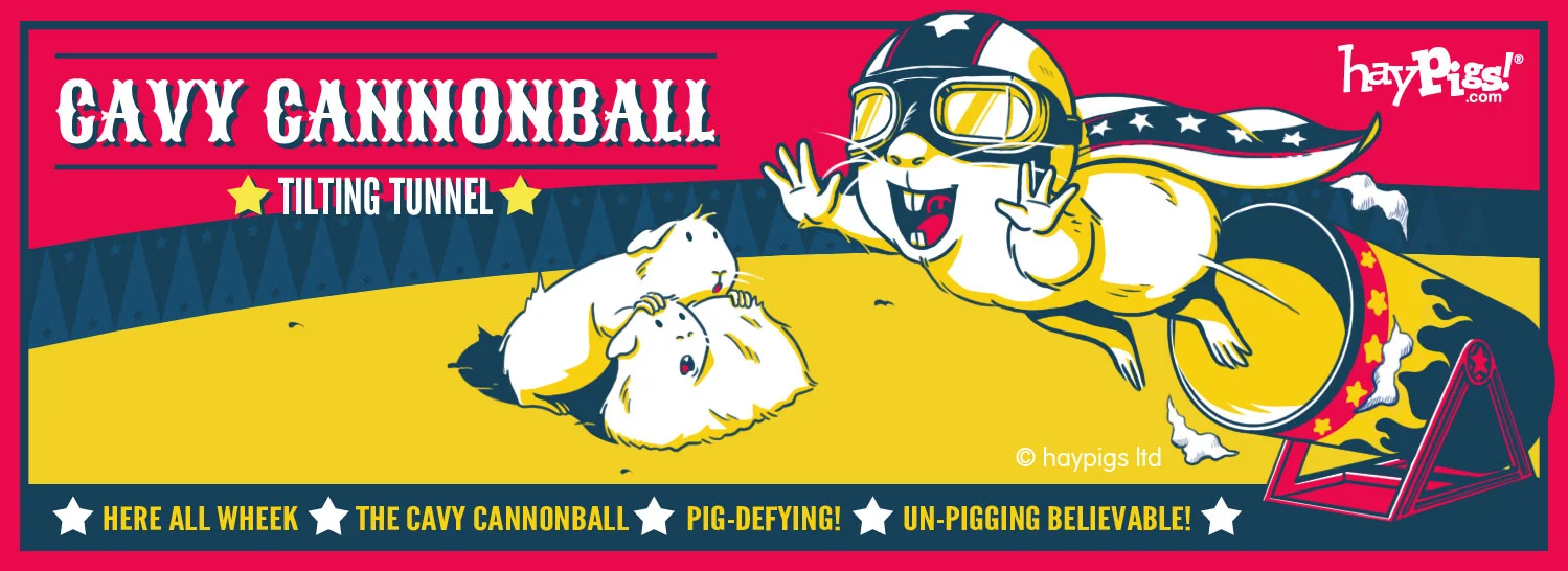 Haypigs Guinea Pig Circus Our Range