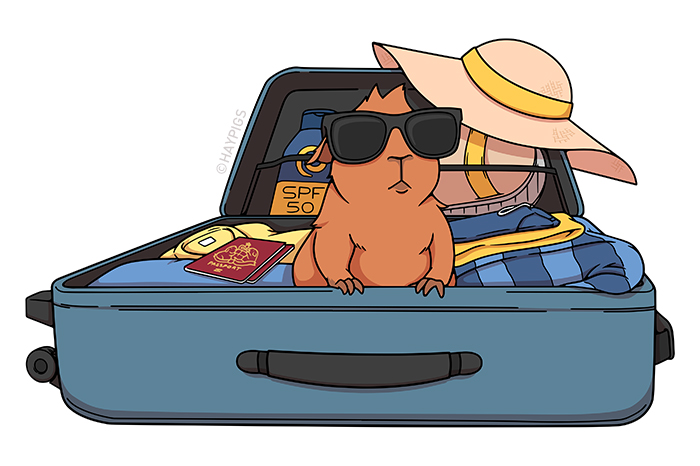 your guinea pigs when you go on holiday 