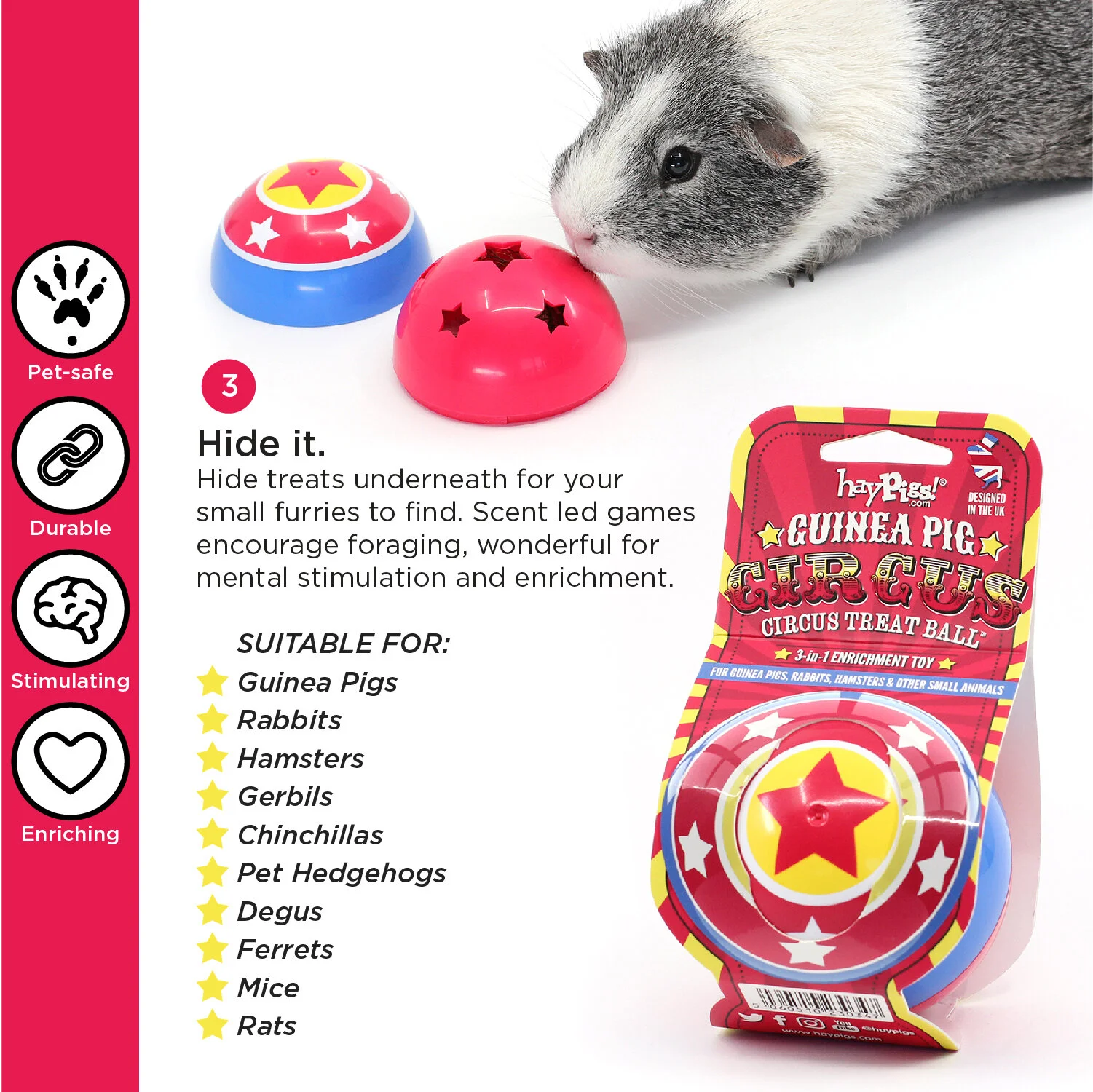 guinea pig treat ball
