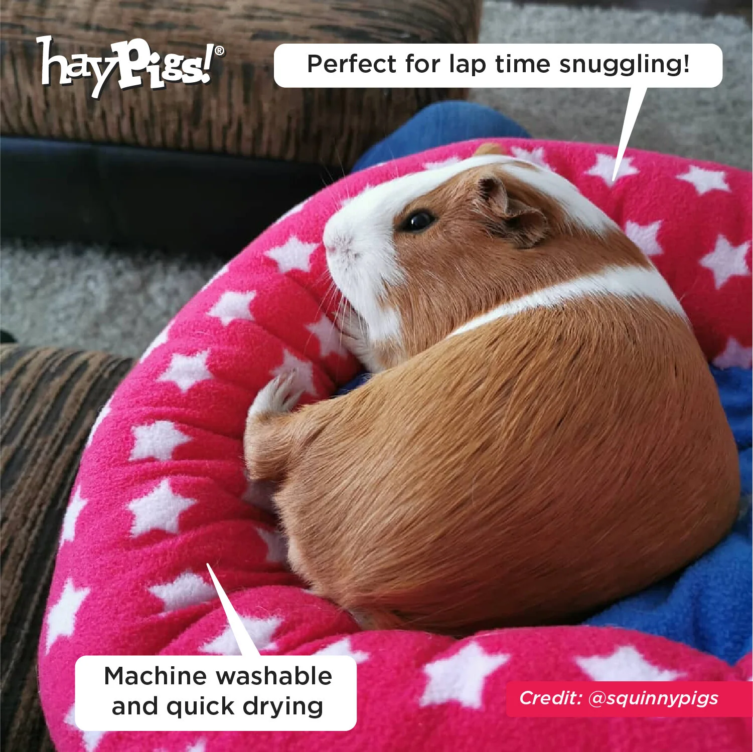 guinea pig fleece bed