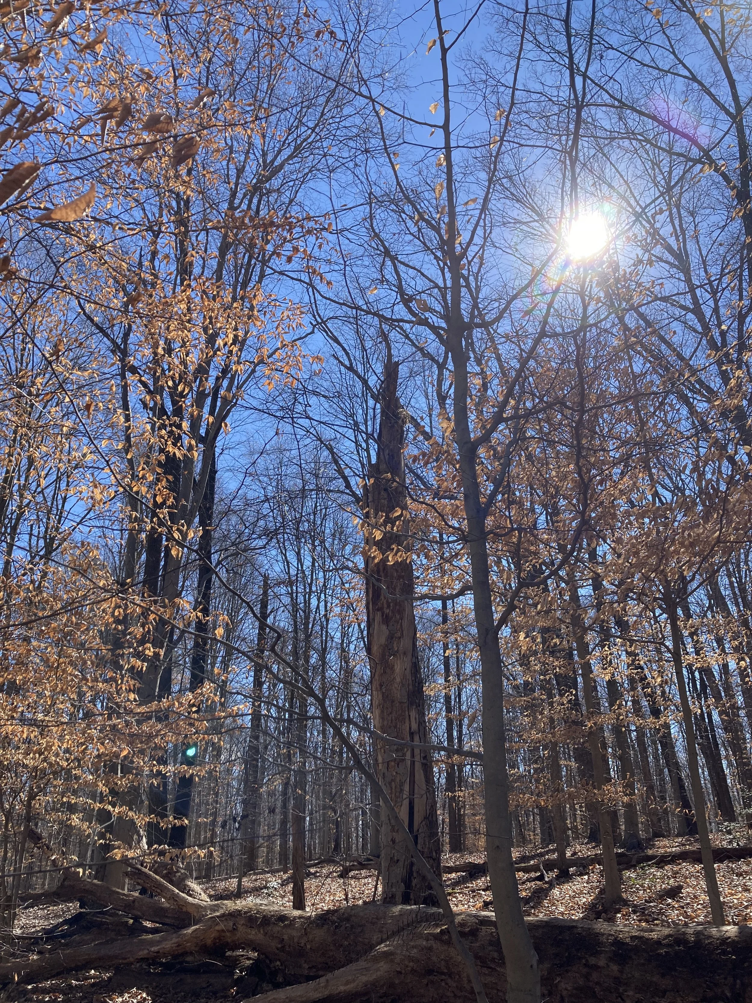 Holding on and letting go